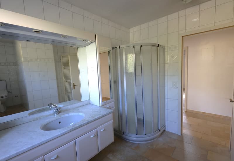 Charmantes Einfamilienhaus mit Pool und grossem Garten in Kyburg-Buchegg (14)