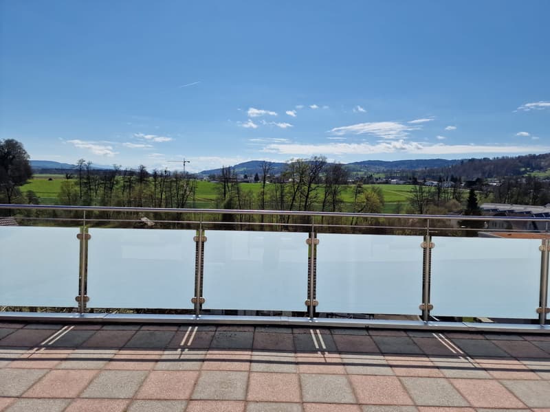 Charming 4-room apartment with sensational terrace and view (9)
