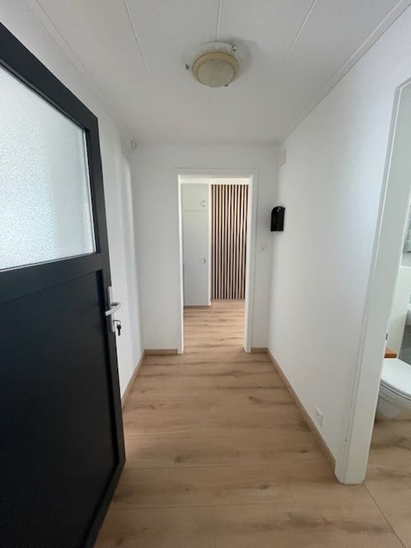 Charming 4-room apartment with sensational terrace and view (7)