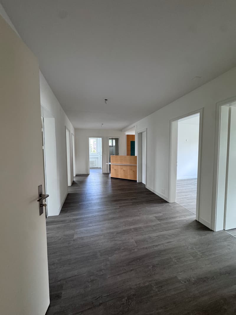 Office / Practice Rooms in the Center of Wohlen (7)
