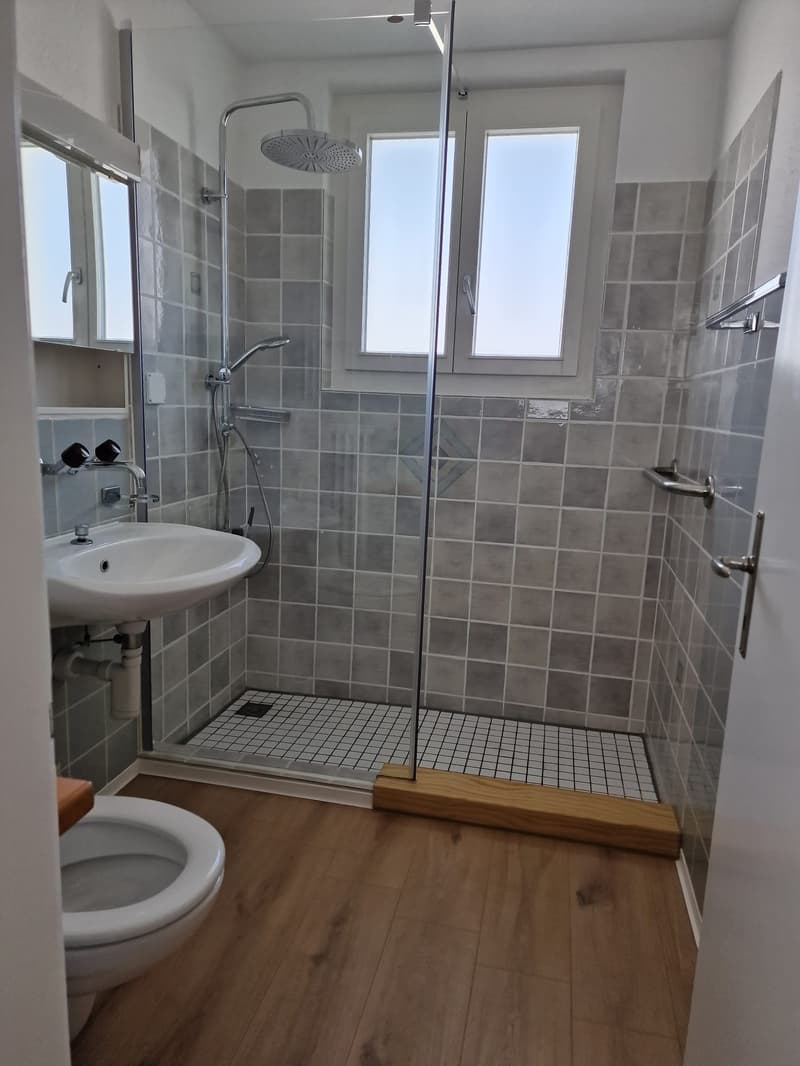 Appartamento 4 locali affascinante con terrazza sensazionale e vista (6)