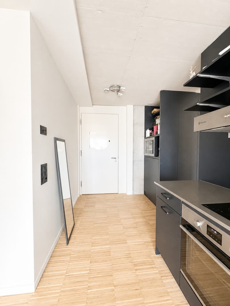 Superbe loft 2.5 pièces au cœur d'Aarau. (4)