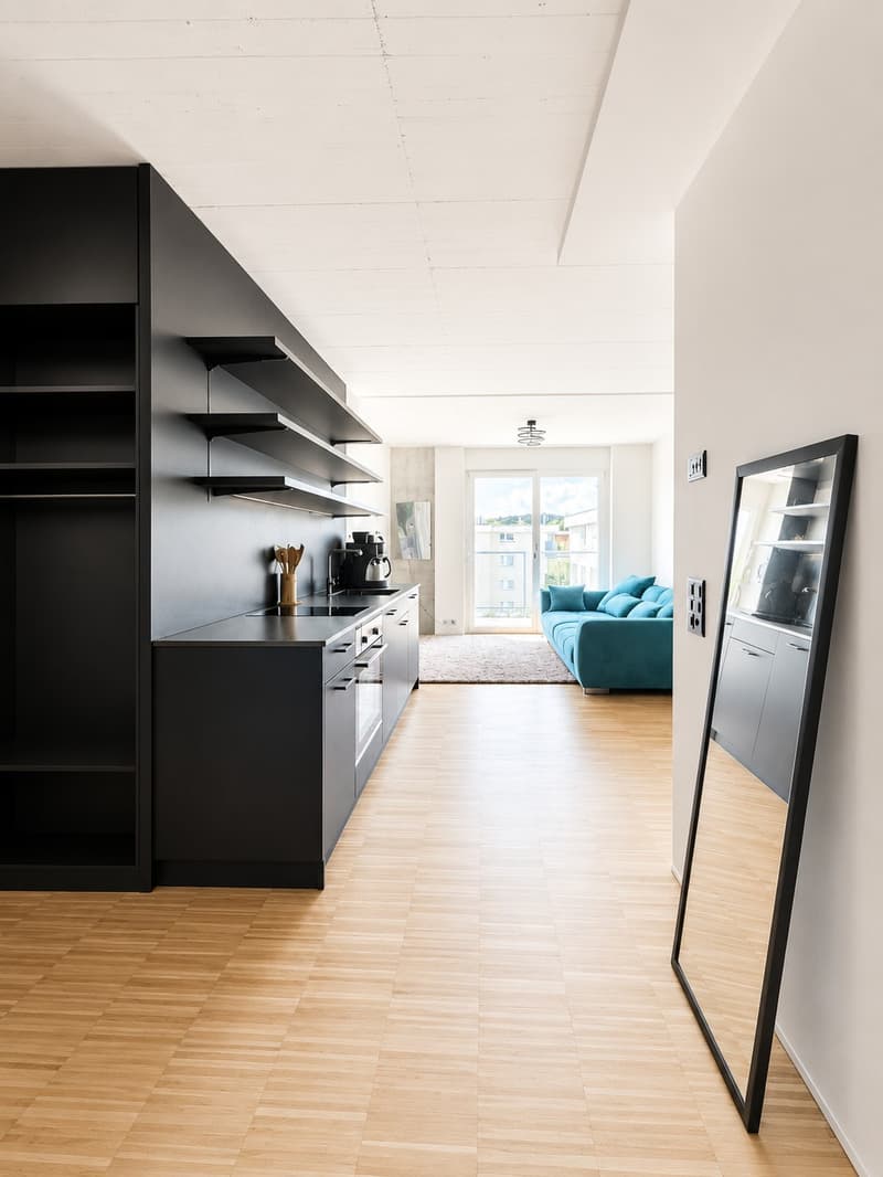 Ottimo loft di 2.5 locali nel cuore di Aarau. (2)
