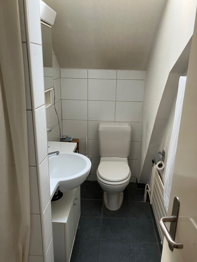 Charmant appartement 4 pièces à louer à Baden (4)