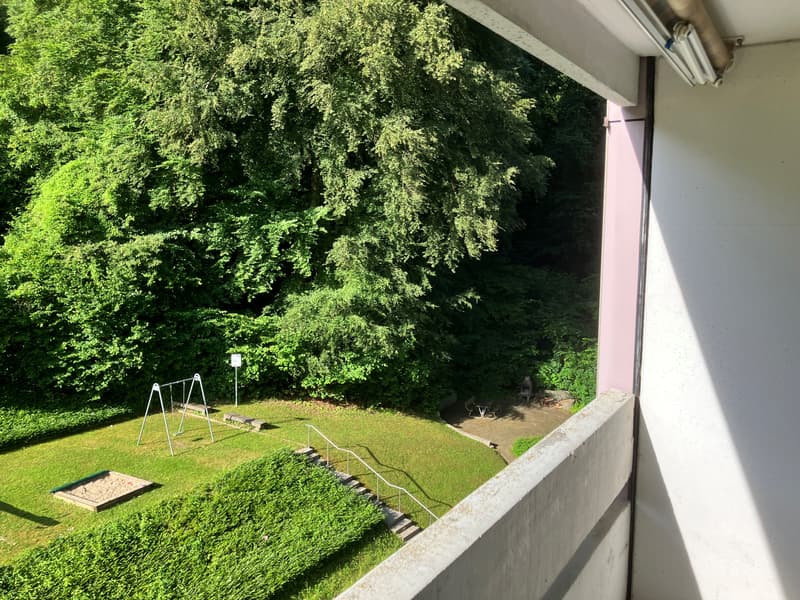 Appartement à rénover avec vue sur le verdure - Idéal pour artisans (1)