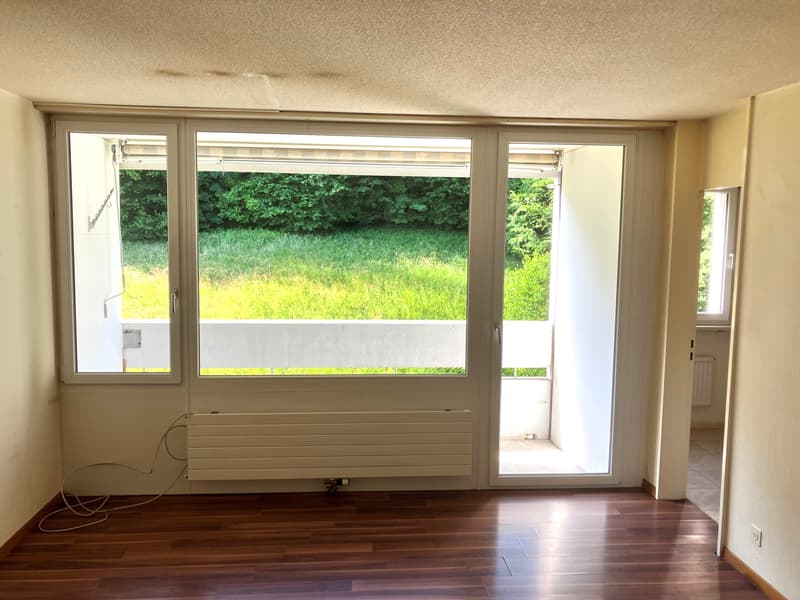 Appartement à rénover avec vue sur le verdure - Idéal pour artisans (2)