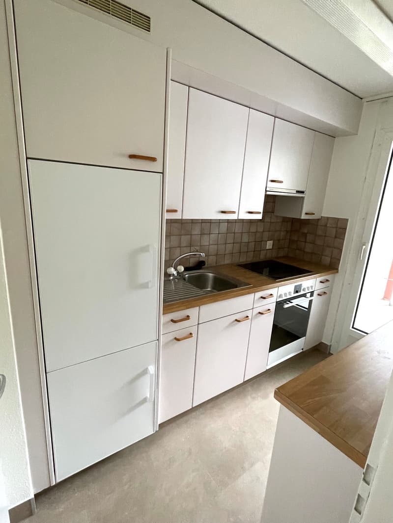 Appartamento accogliente di 3,5 locali in un quartiere residenziale tranquillo (2)