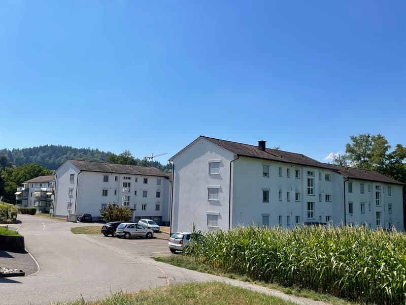 Wohnraum links