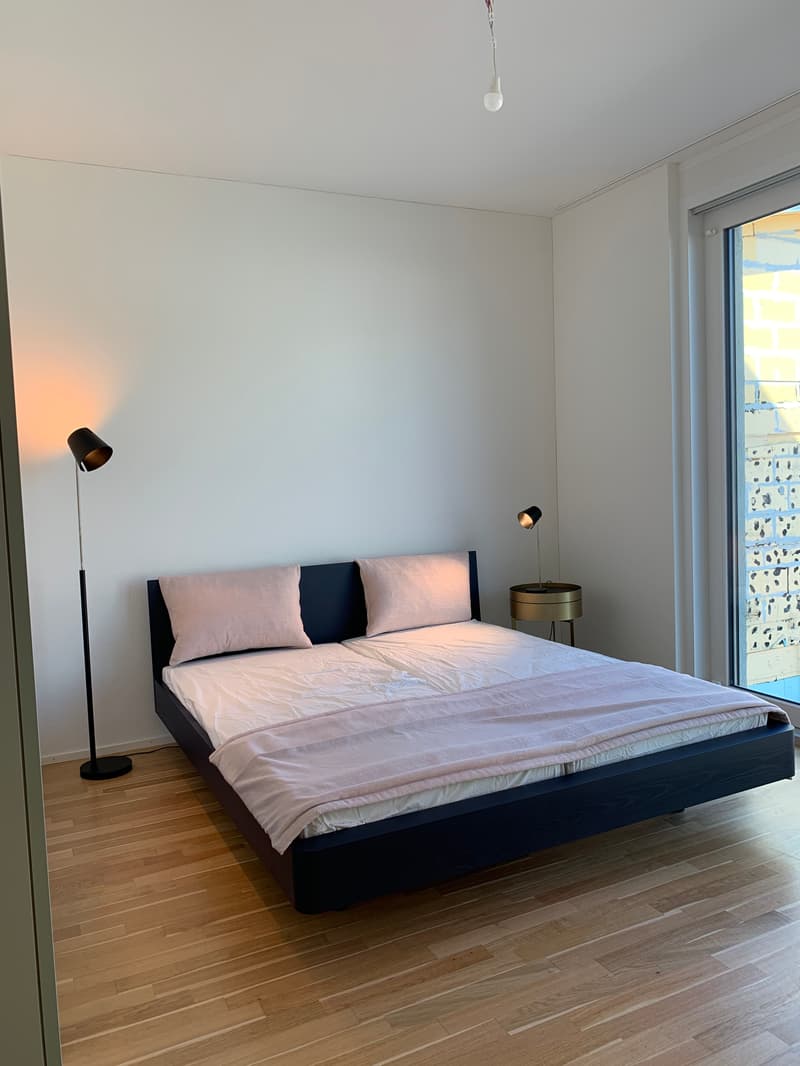 Habitation urbaine : Loft moderne de 2,5 pièces à Bâle (6)