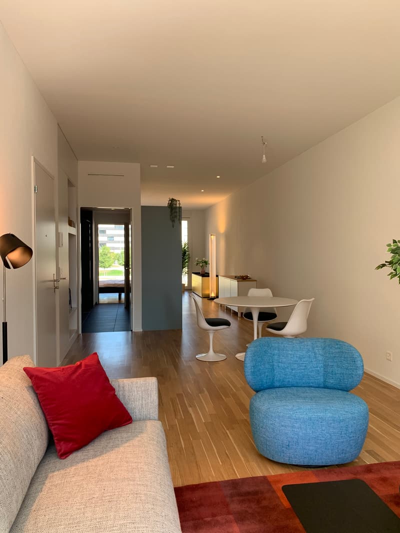 Habitation urbaine : Loft moderne de 2,5 pièces à Bâle (2)
