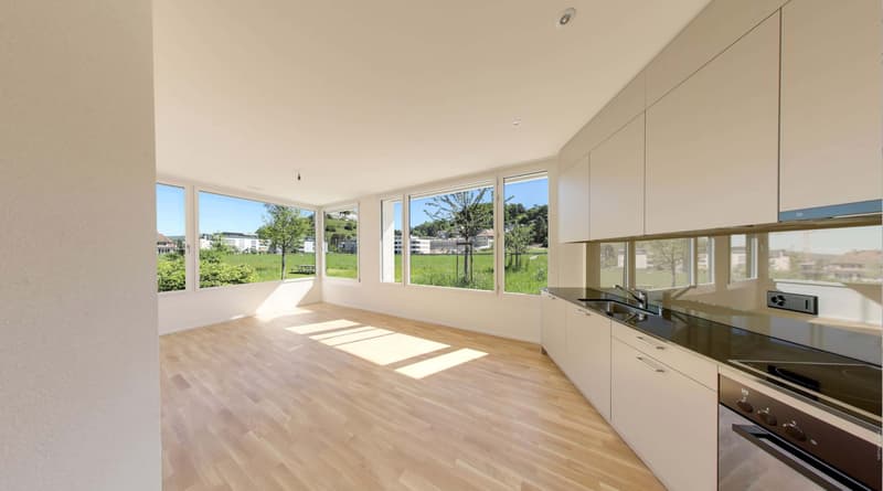 2,5 pièces Appartement 2e étage li / 31c /A3.6 (2)