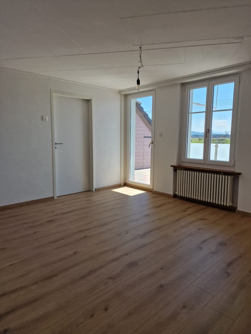 Charmante 4-Zimmerwohnung mit sensantioneller Terrasse und Aussicht (2)