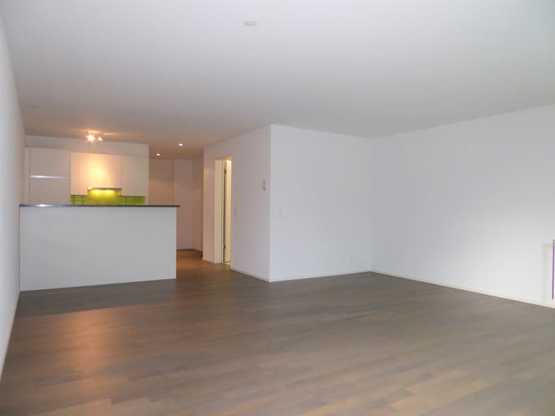 Wohnzimmer / Küche