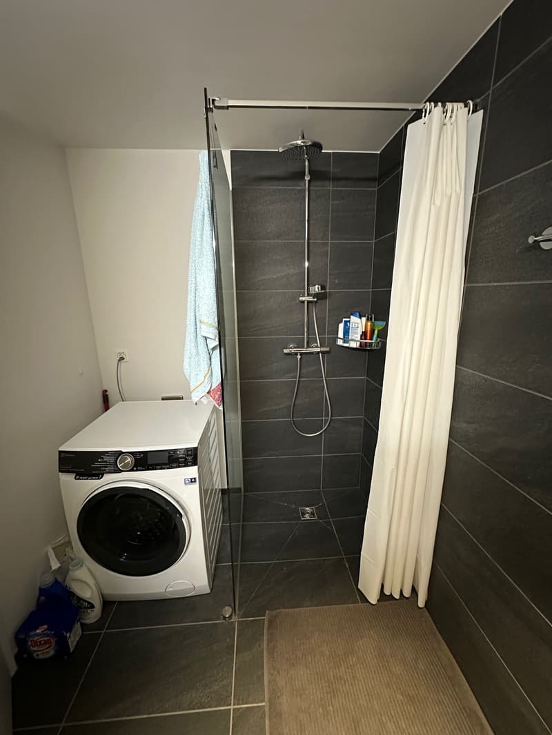 Moderne und zentral gelegene Wohnung in Basel (4)