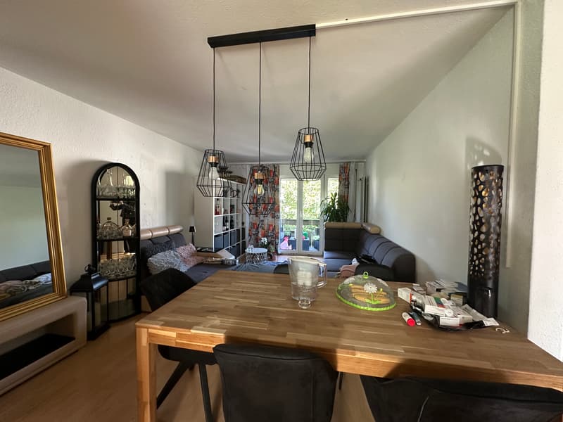 3.5 Zimmerwohnung - Wohnen / Essen