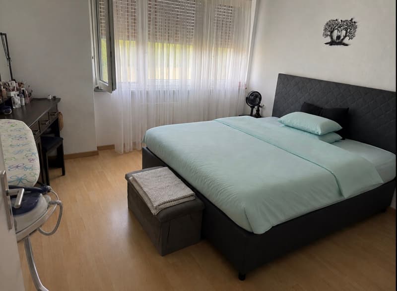 Schöne und gemütliche 2- Zimmerwohnung in ruhiger Lage Nähe von Solothurn (8)