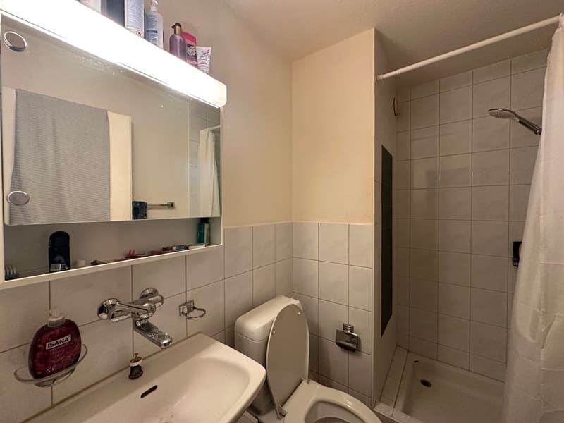 2.5 Zimmerwohnung - Dusche / WC