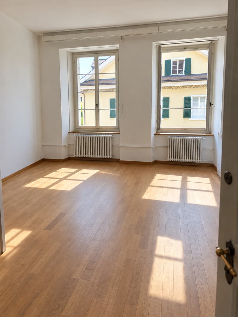 Helles Büro mit 23 m² an zentraler Lage in Schönenwerd (2)