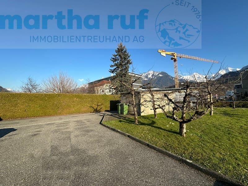 5.5-Zimmer Doppeleinfamilienhaus mit Panorama auf das Jungfraumassiv (12)
