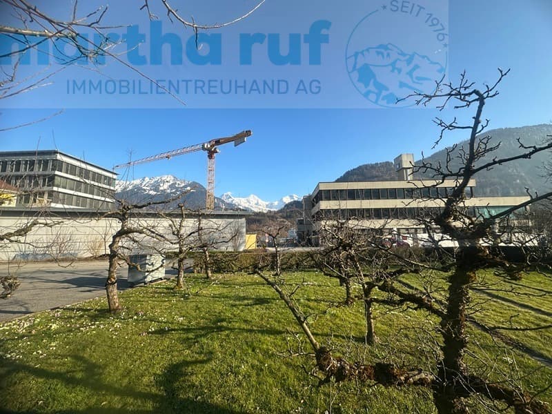 5.5-Zimmer Doppeleinfamilienhaus mit Panorama auf das Jungfraumassiv (11)