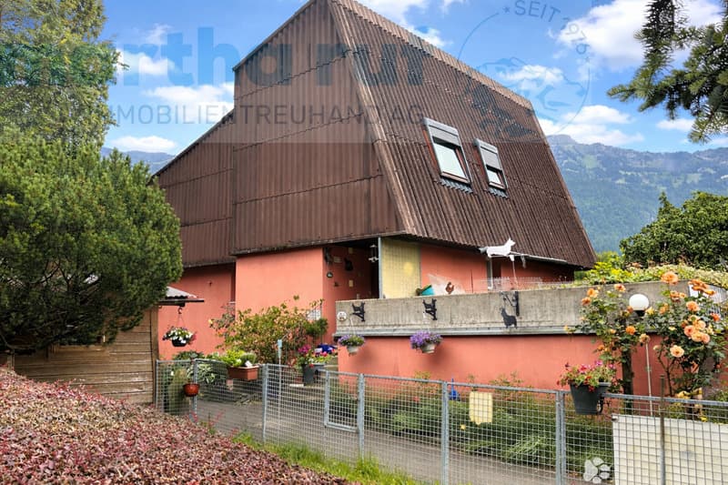 Vielseitiges Wohnhaus mit Tierpension nahe dem Zentrum (2)