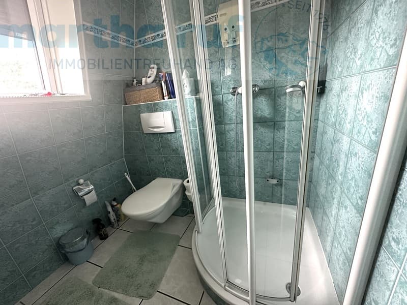 Vielseitiges Wohnhaus mit Tierpension nahe dem Zentrum (8)
