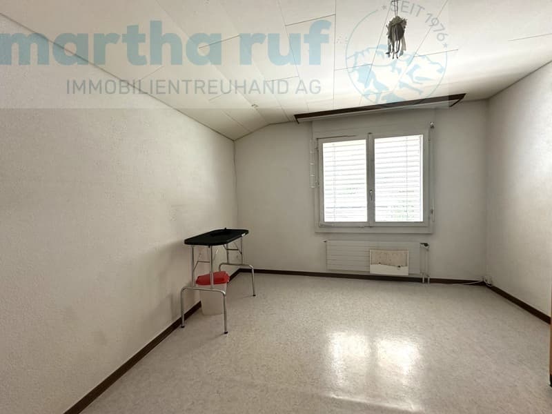 Vielseitiges Wohnhaus mit Tierpension nahe dem Zentrum (13)