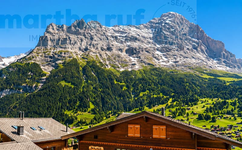 3-Family House on Grindelwald's Sunny Side, Holiday Object without Second Home Restriction (3)