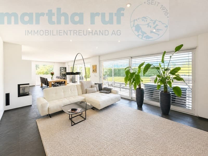 Dream house with mountain view, large terrace and double garage (3)