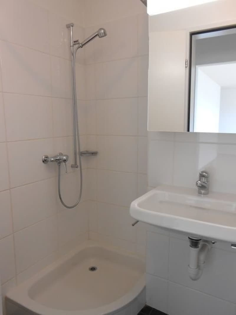 Dusche/WC (Musterbild)