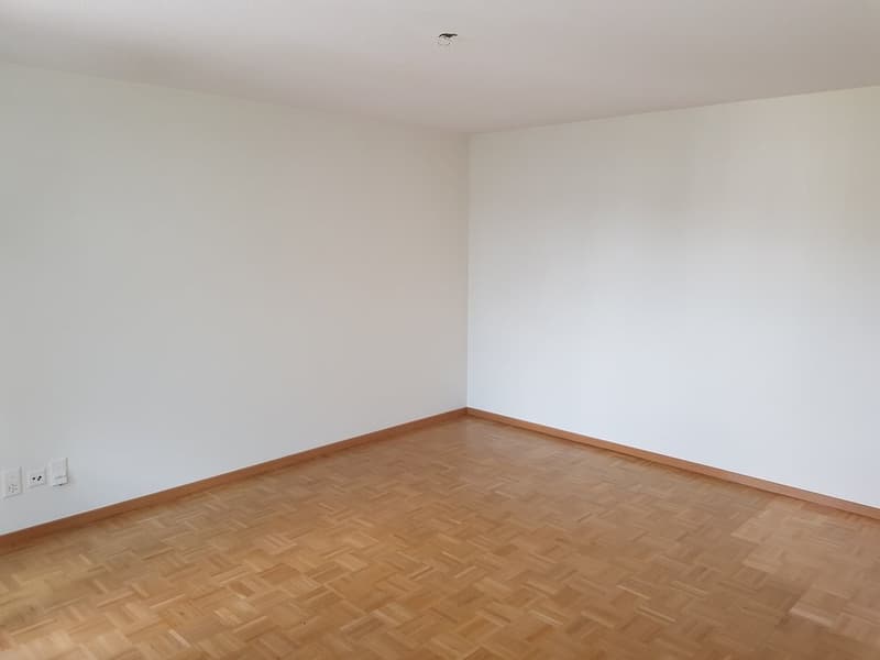 Wohn-/Schlafzimmer (Musterbild)