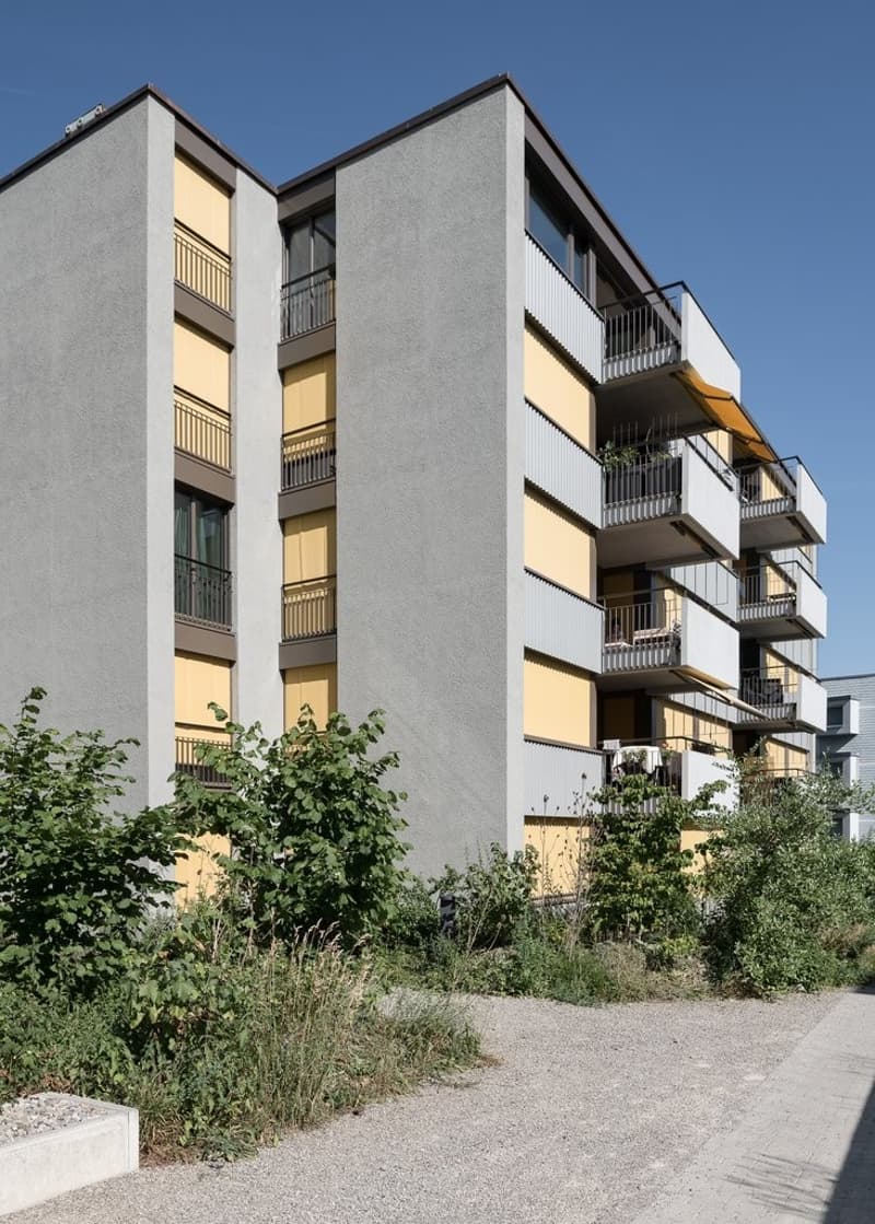 Aussenansicht mit Umgebung
