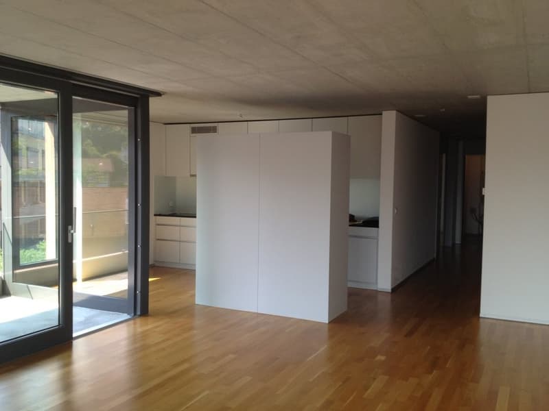 Wohnzimmer mit offener Küche