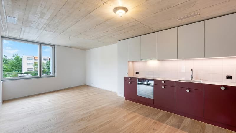 Wohnzimmer/Küche