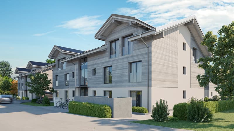 Living in Amsoldingen: Modern new 4.5-room apartment on the ground floor (2)