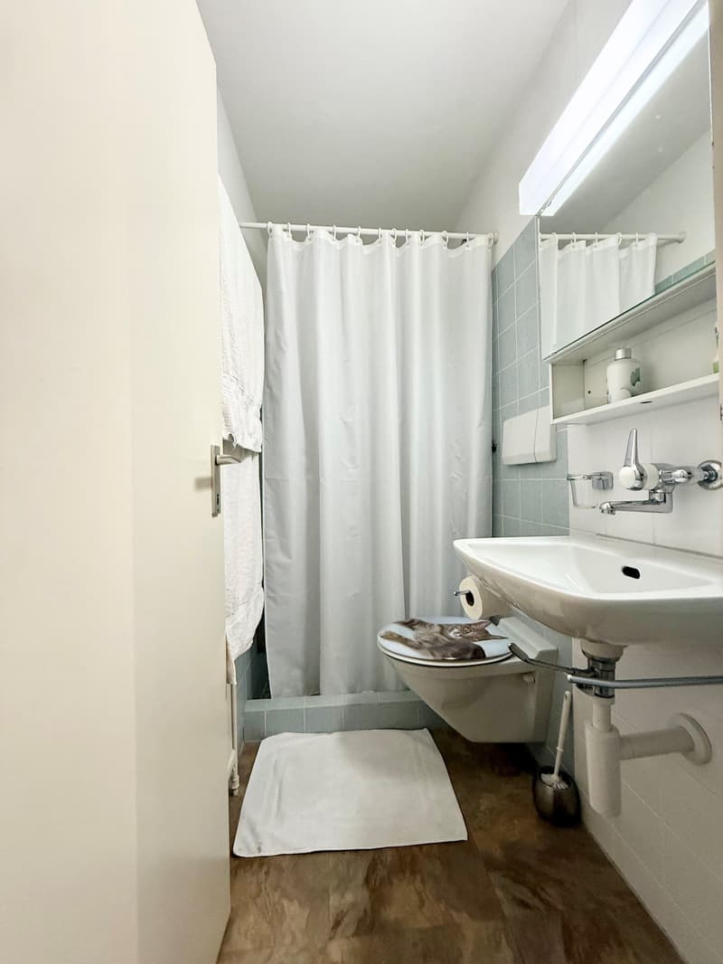 Bathroom with shower, toilet, sink, towel, and towel rack