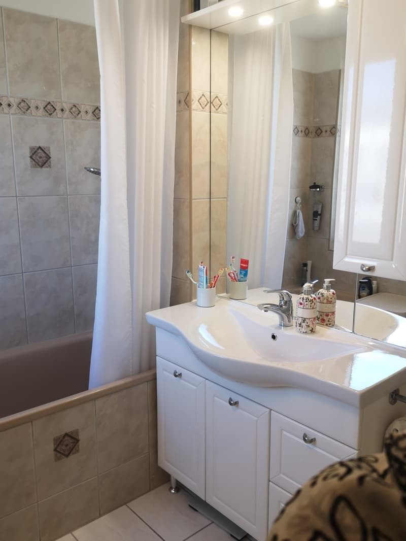 Large comfortable and well-maintained family home (7)