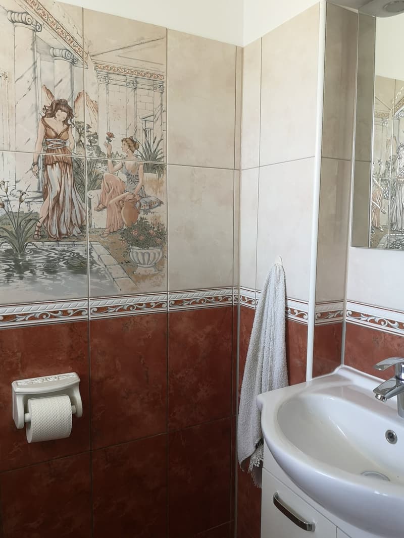 Large comfortable and well-maintained family home (5)
