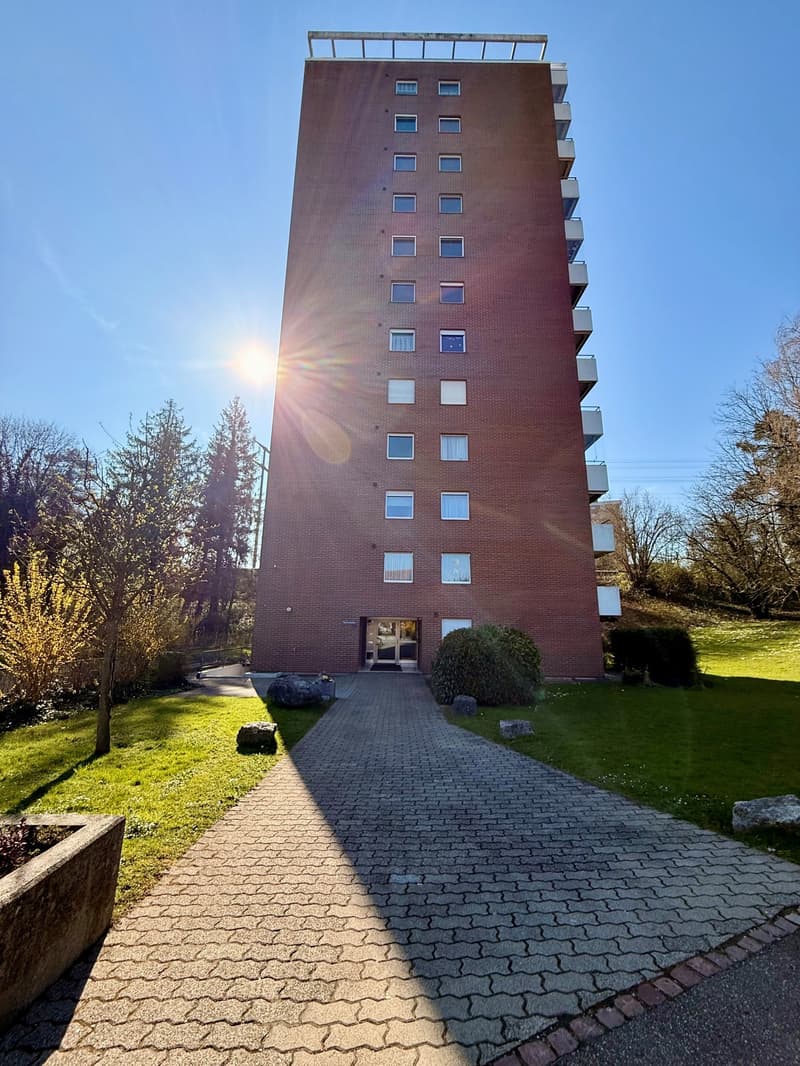 VIVERE CON VISTA SUI TETTI DI RHEINFELDEN (2)