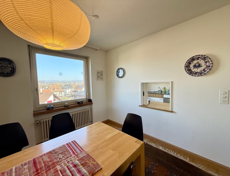 VIVERE CON VISTA SUI TETTI DI RHEINFELDEN (6)