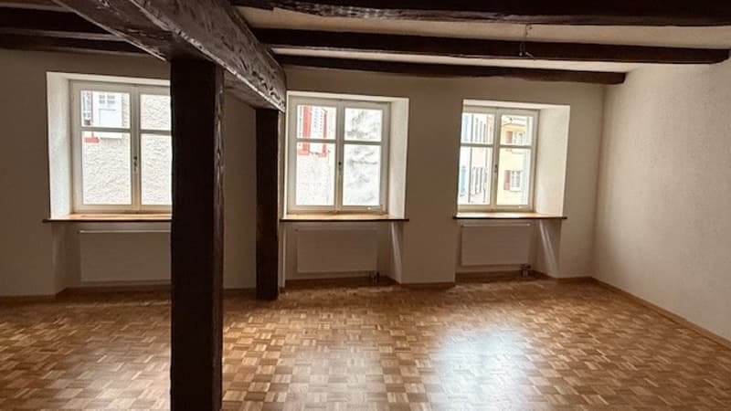CHARMANTE ALTSTADTWOHNUNG IN EINER «VERKEHRTEN WELT» (10)