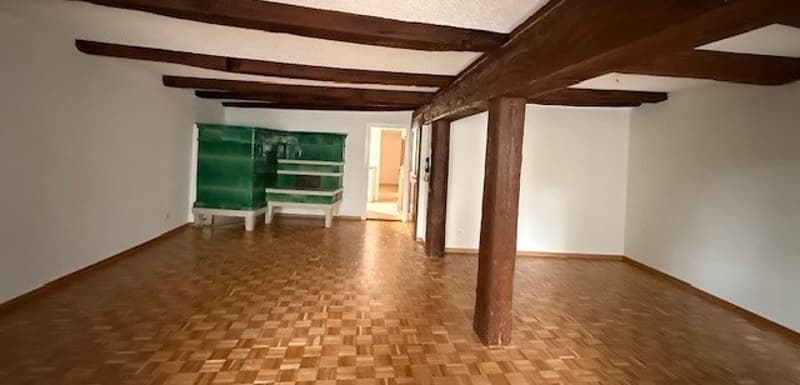 CHARMANTE ALTSTADTWOHNUNG IN EINER «VERKEHRTEN WELT» (9)