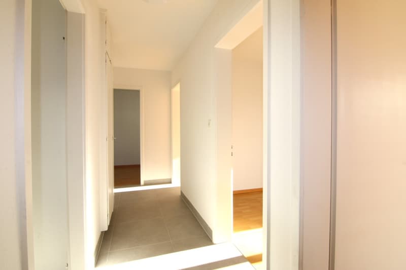 Appartamento di 3 locali luminoso dopo ristrutturazione completa a Biberist (7)