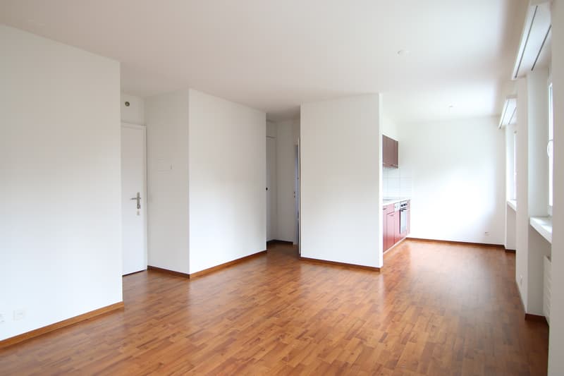 Appartamento di 2.5 locali alla periferia della città vicino alla stazione principale (2)