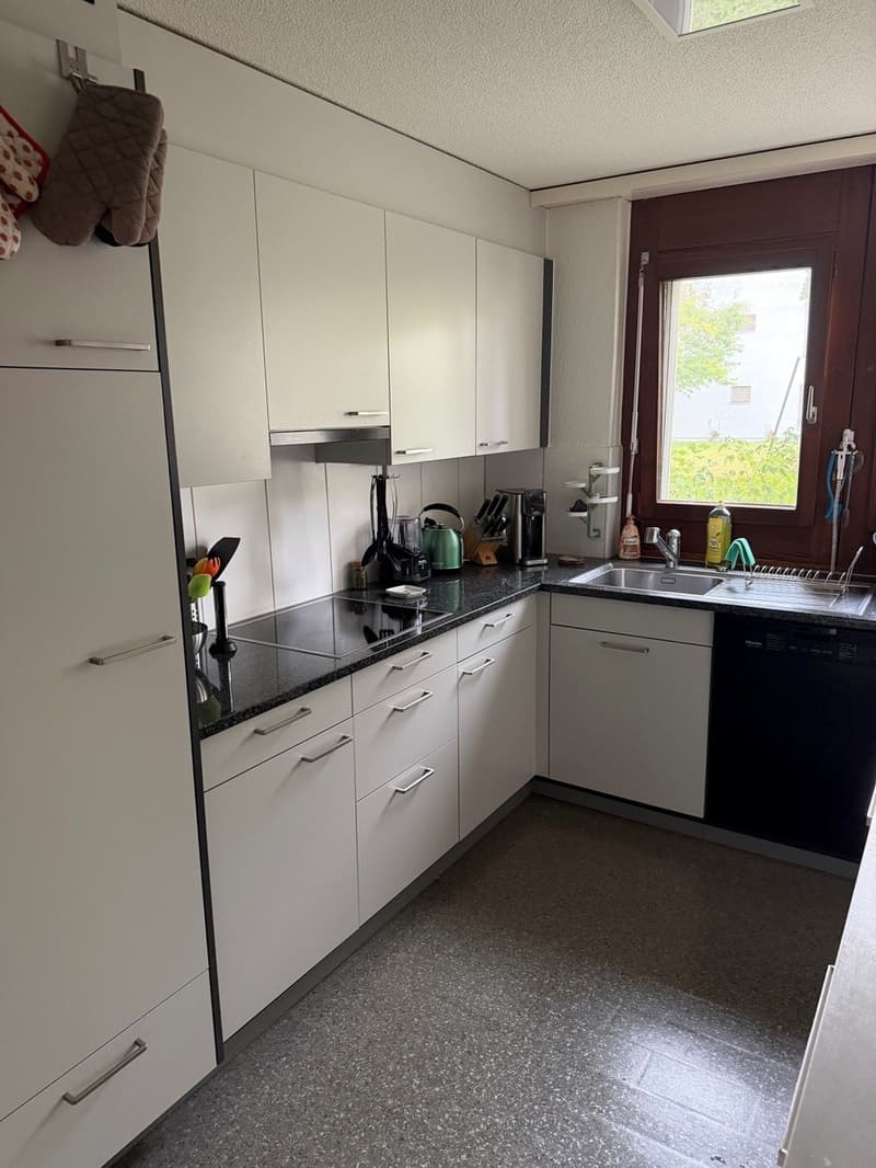 Appartamento 5.5 locali adatto alle famiglie con terrazza giardino a Zuchwil (3)