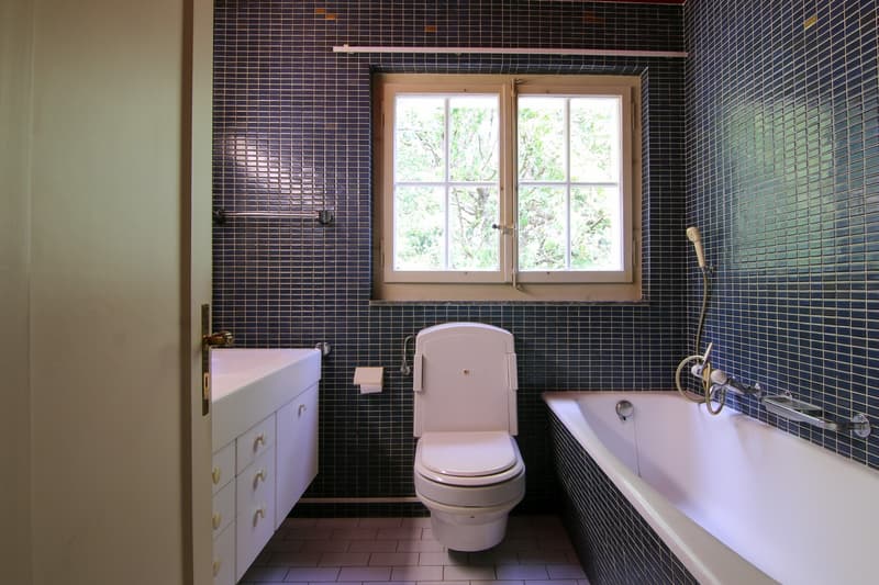 Oasi verde con piscina - Il tuo rifugio in città (8)