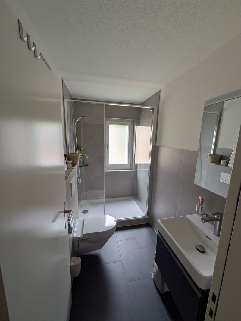 Charmant appartement 2 pièces avec balcon neuf à Soleure (8)