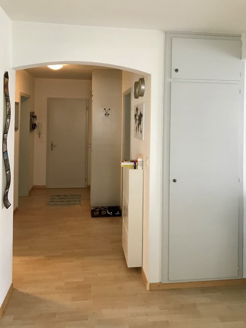 Vivere alla periferia di Solothurn (5)