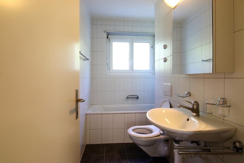 Vivere alla periferia di Solothurn (4)