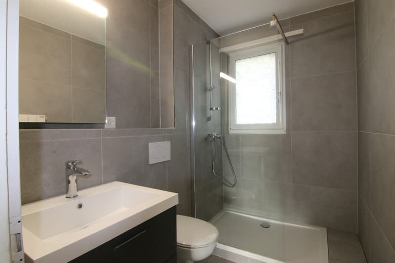 Helle 3-Zimmer-Wohnung nach Gesamtrenovation in Biberist (2)